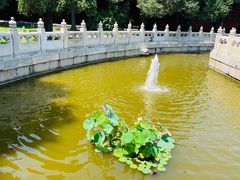 -北京国子监胡同