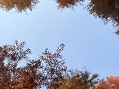 -尚贤河湿地