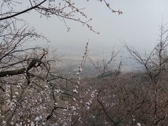 -阳台山自然风景区