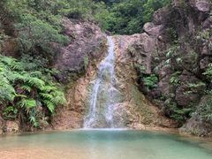 -南海湾森林生态园