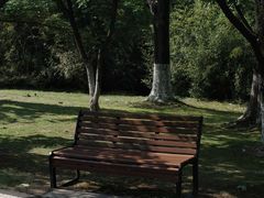 -宜兴龙背山森林公园