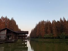 -黄海国家森林公园