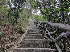 -梧桐山风景名胜区