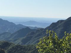 -大岭沟猕猴桃谷风景区