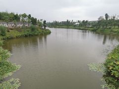 -枫香湖儿童公园