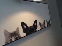 -吃饼人西餐(南开店)