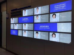 -大麦微针植发丨全国连锁