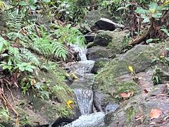 -广州市白云山风景名胜区