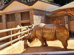 -昆明动物园