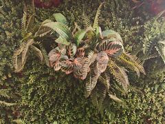 -味之绝热血美蛙鱼火锅(中坝店)