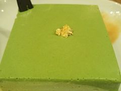 -柴务处·柴犬主题狗咖