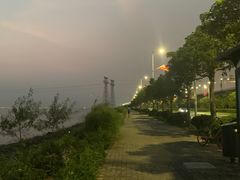 -宝安西湾红树林湿地公园