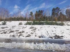 -北极村旅游风景区