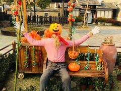 -武汉紫薇都市田园