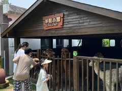 -太阳岛度假酒店