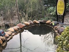 -深业半汤御泉庄温泉