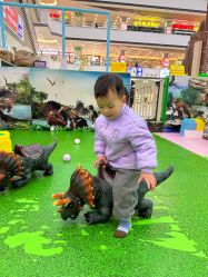 -汤姆小鸟(无锡宝龙广场店)