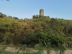 -深圳国际园林花卉博览园