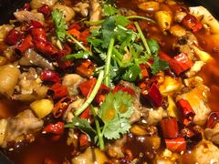 川式肥肠-绿茶餐厅(乐峰广场店)