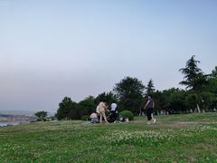 -灞河西岸滨河公园