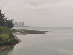 -万绿园