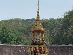 -西双版纳原始森林公园