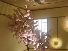 -汤泉良子(金源店)