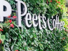 -Peet's Coffee皮爷咖啡(上海长风大悦城店)
