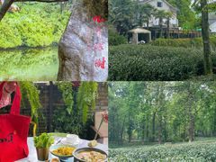 -野蔓果·山野菜(西湖景区·龙井茶田店)