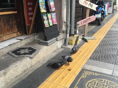 -普吉镇