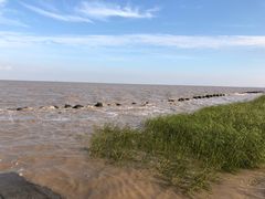 -南汇嘴观海公园