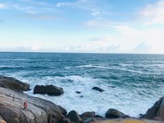 -广东惠东海龟国家级自然保护区