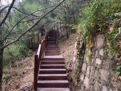 -北京十三陵国家森林公园蟒山景区
