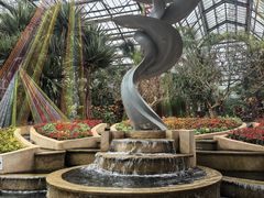 -南山植物园
