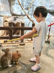 -Zoolung Zoolung动物主题公园(海信广场店)