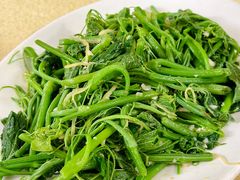 蒜蓉炒佛手瓜叶-粤友餐厅