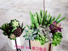 -风吟仟茶(友阿店)