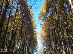 -山王坪喀斯特国家生态公园