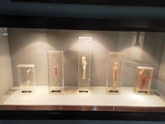 -中国盱眙国际龙虾节广场