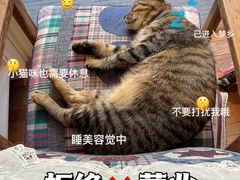 -旧天堂书店(华侨城创意文化园南山特色文化街区店)