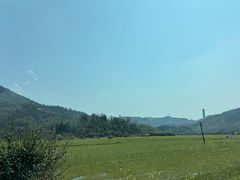 -长沙黑麋峰国家森林公园