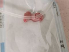 -伟伟宠物医院·CT影像中心·瑞派犬猫综合性门诊(汉口总院)