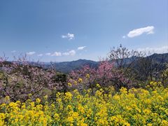-石潭村