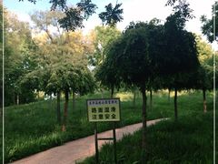 -东郊湿地公园
