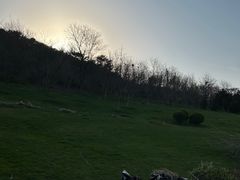 -棒棰岛宾馆景区