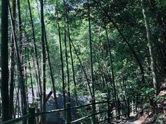 -周洛大峡谷