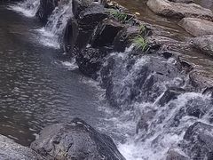 -石台牯牛降景区