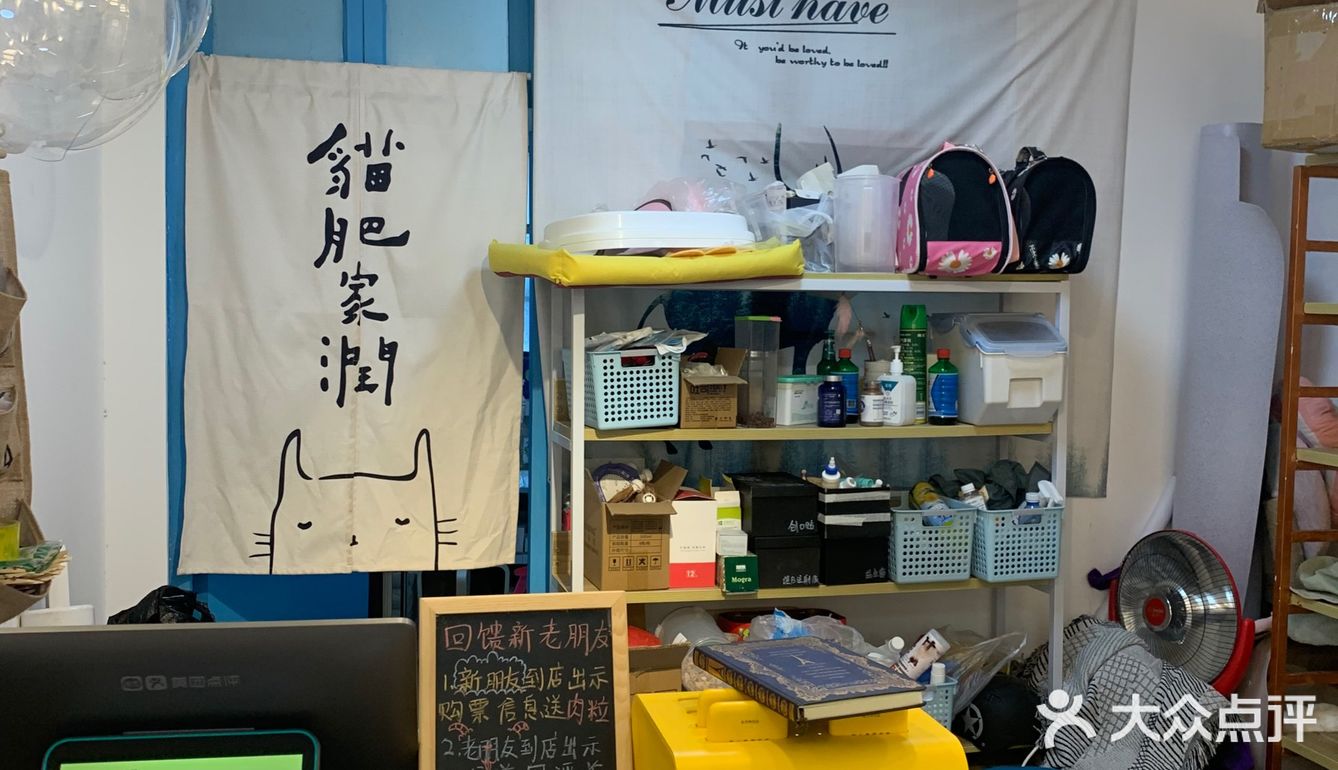 郑州猫咖郑州探店