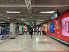 -大望路(地铁站)