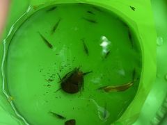 -苏州河梦清园环保主题公园